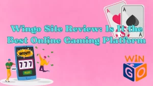 illustration text 'Wingo Site Review: Is It the Best Online Gaming Platform?'